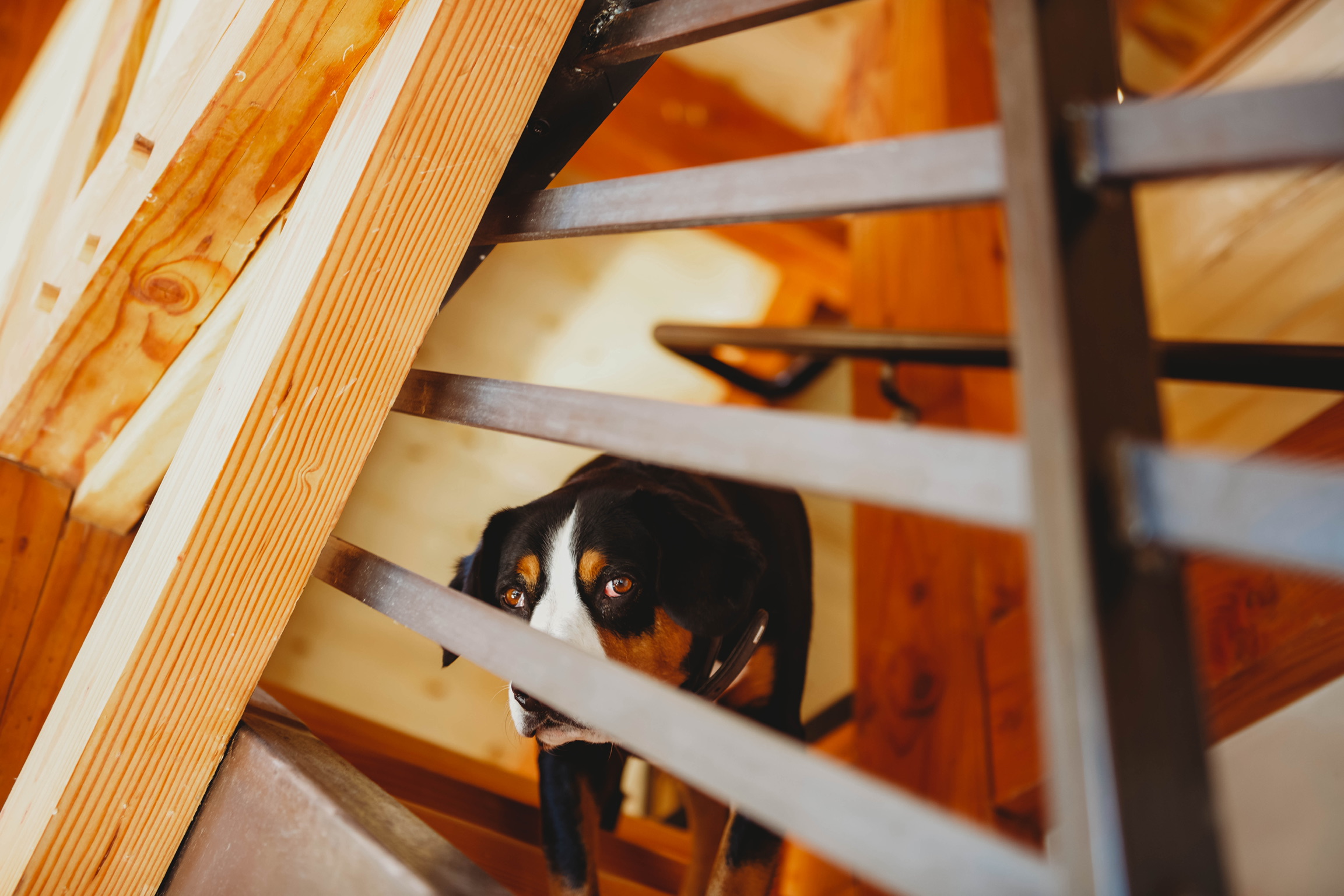 Mountain home interior with warm wood tones and mountain views